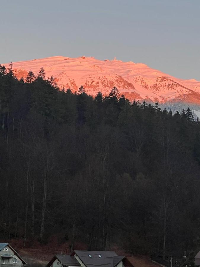 Riky Apart Mountain View Daire Sinaia Dış mekan fotoğraf