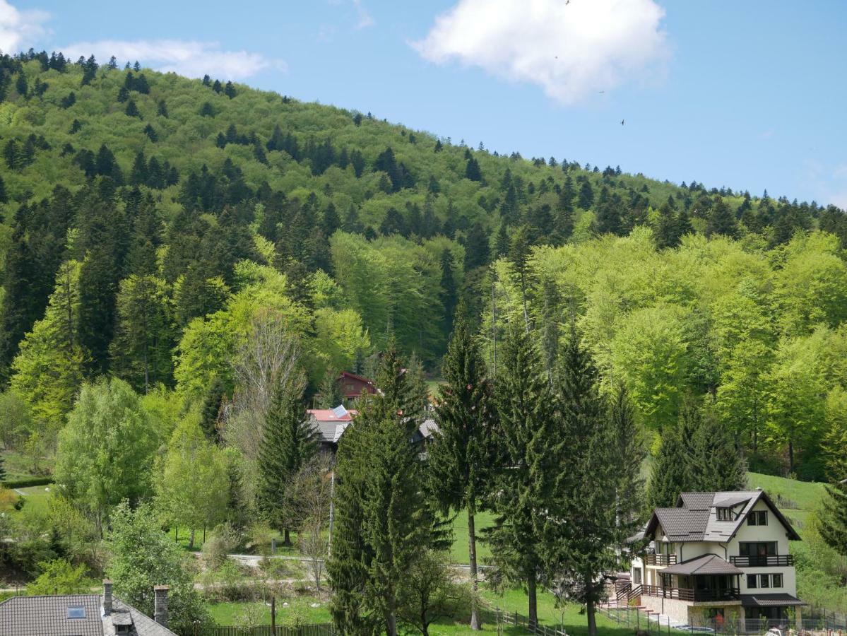Riky Apart Mountain View Daire Sinaia Dış mekan fotoğraf
